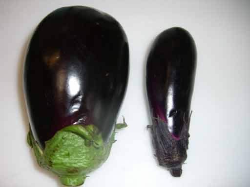 ������߲˸��������������������