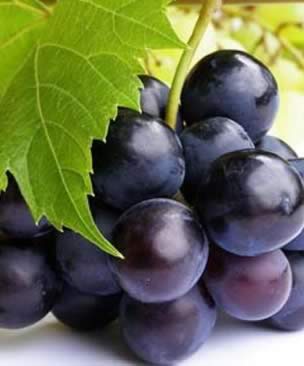 �úڴ������Ѹɣ��򵥽�Ѫѹ