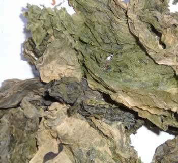 �����Ĺ�Ч������