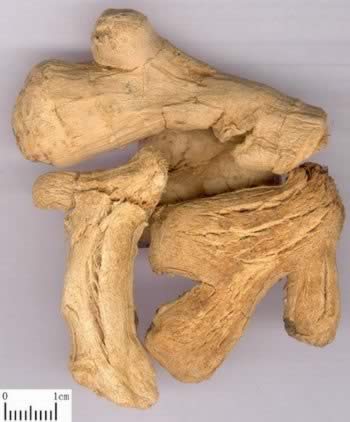 �ڽ��Ĺ�Ч������