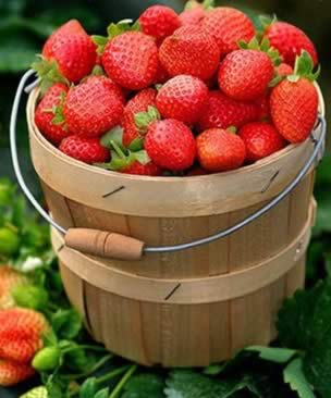 �·�װ�ޣ��µð�Ѫ������Բ�ݮ