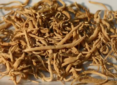 ̫�Ӳε�ҽ�ƹ�Ч����������