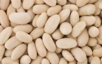 �׶��Ĺ�Ч������