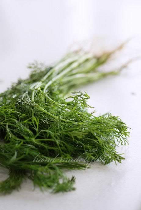 ���������������