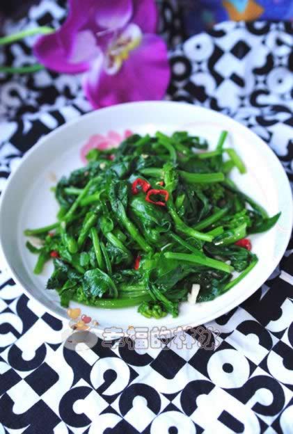 �����Ͳ��ĵ�����