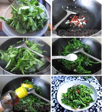 �����Ͳ��ĵ�����