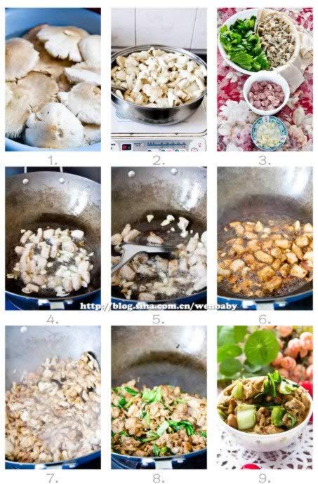 �ײ��ʹ���Ƭ������