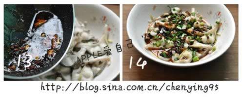 ��������Ƭ������