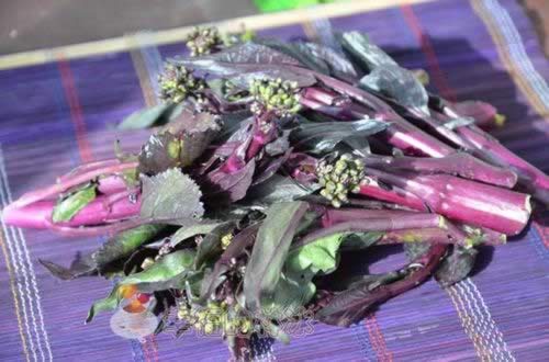 ������̦������