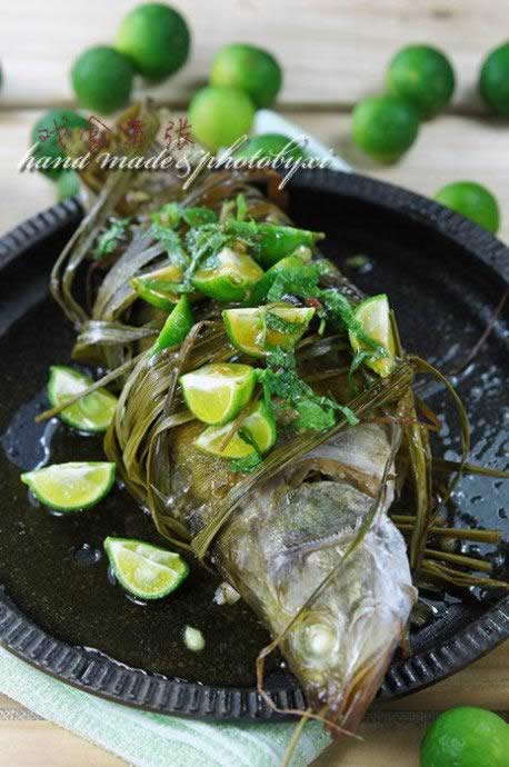 Խʽ��é���������