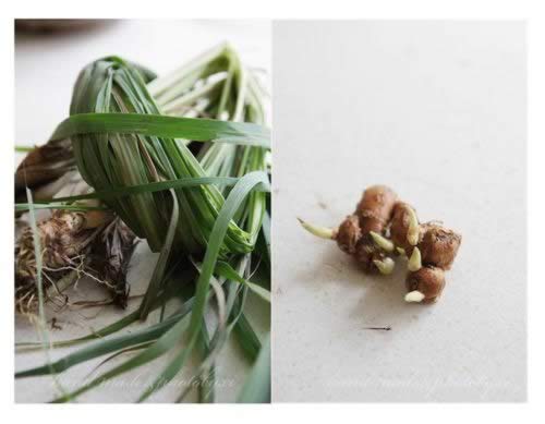 Խʽ��é���������