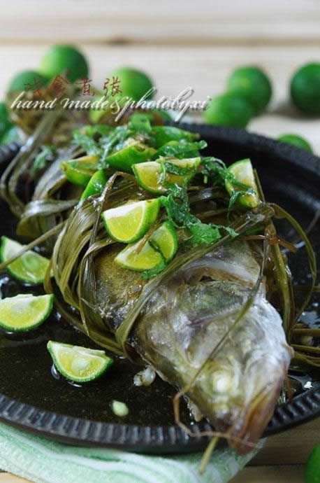 Խʽ��é���������