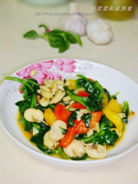 �����س�������������