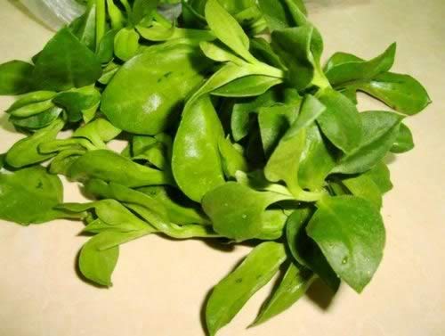 �����س�������������