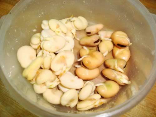 �����س�������������