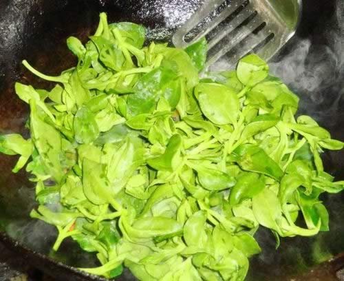 �����س�������������