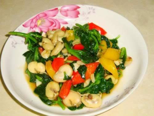 �����س�������������