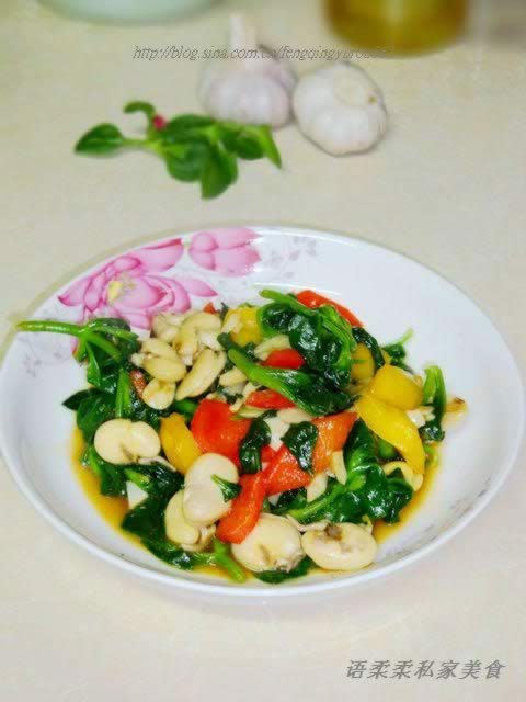 �����س�������������