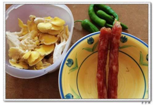 �ܻ�Ģ������������