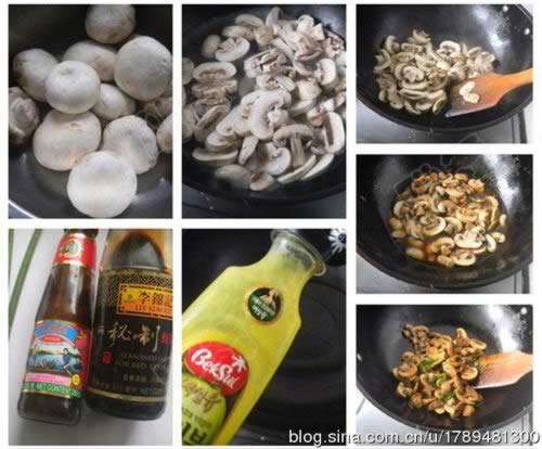 ���տ�Ģ������