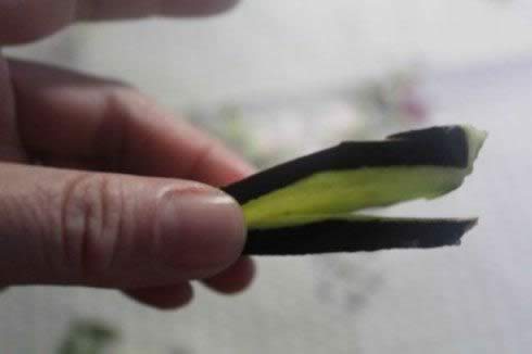 �����Ѻе�����