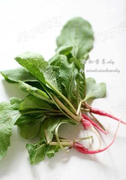 ��ˮ�ܲ�ӧ������