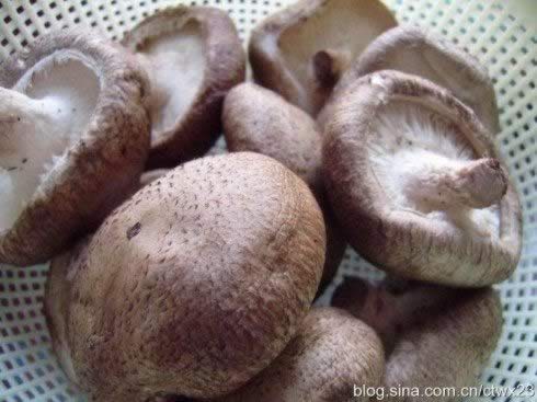 ����㹽������