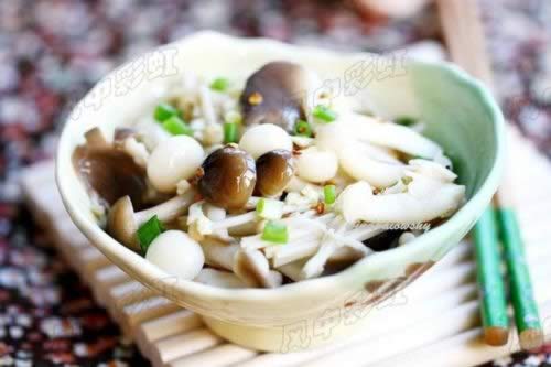 �����Ӿ�������