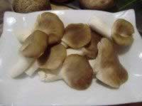 ���°��������������