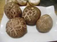 ���°��������������