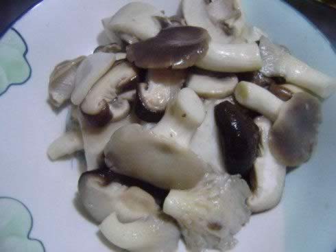 ���°��������������