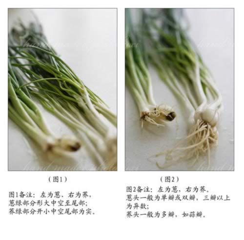 荞菜炒卤猪耳的做法