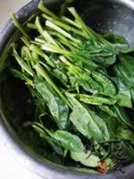 �ȱ��貤�˵�����