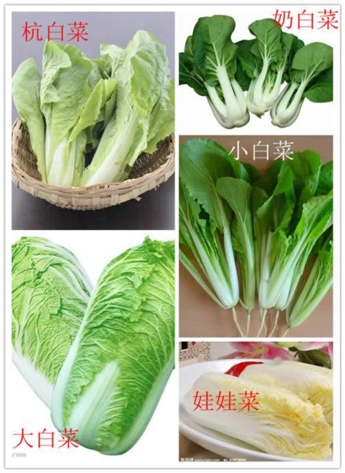 �峴���ײ˵�����