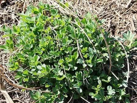 �Ӻ�������ޣ���۵�����