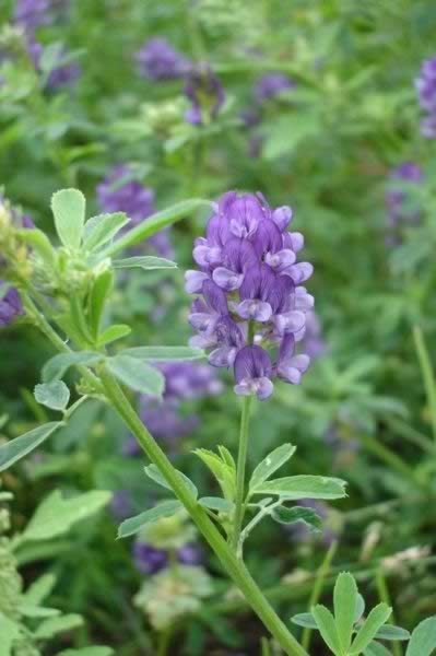 �Ӻ�������ޣ���۵�����