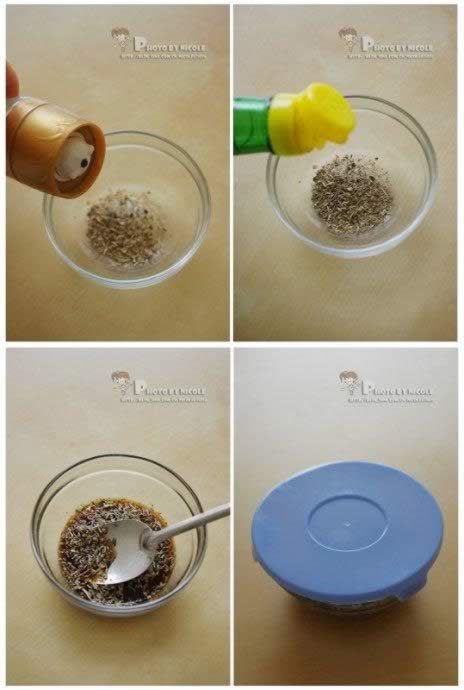 ��ɫɳ��������