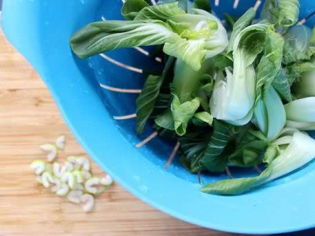 �����Ͳ˵�����