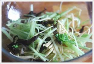 ˬ�����Ӱ������