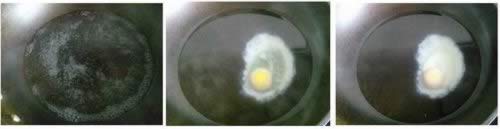 ������ɰ���ȫ���Ե�����