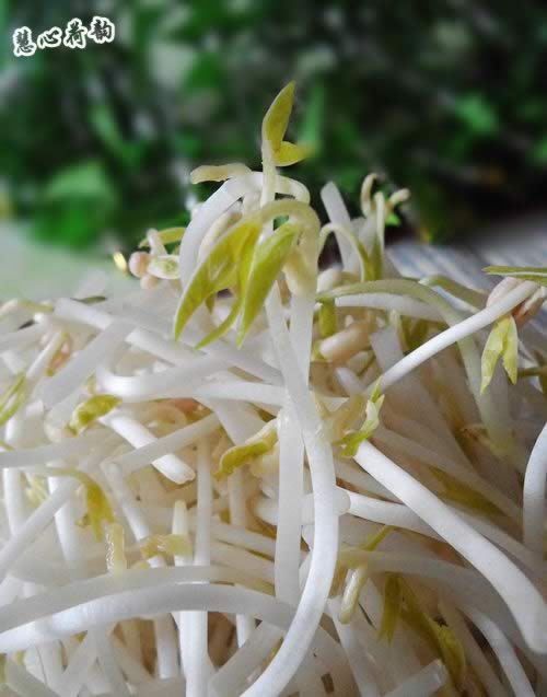 ��ͥ�Է��̶�ѿ��������