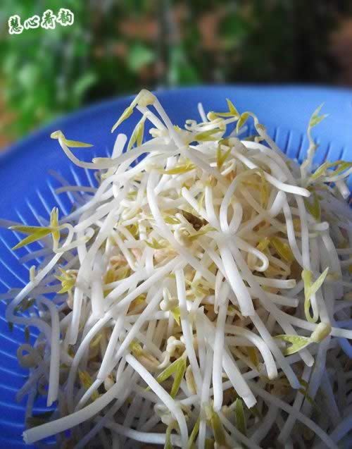 ��ͥ�Է��̶�ѿ��������