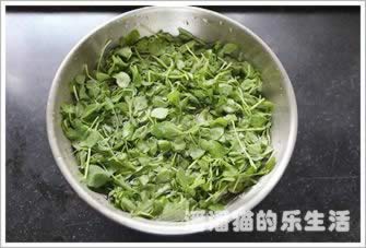 �����ʰ趹�������