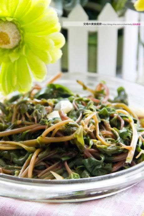 ���������ȵ�����