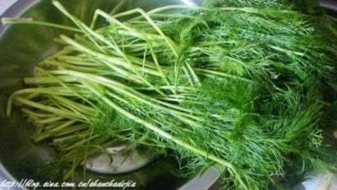 ����������ȵ�����