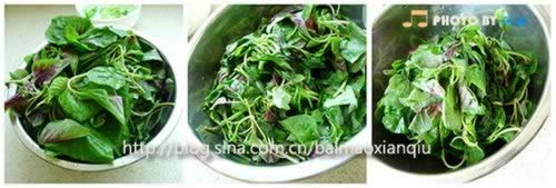 �Ȳ˽��ӵ�����