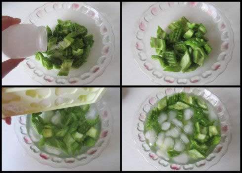 �㲤���ϳ���Ƭ������