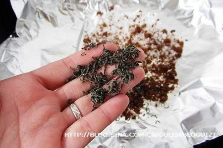 �ǲ�Ѭ��������