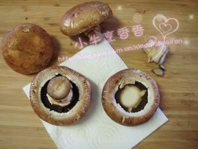 �h����Ģ��������