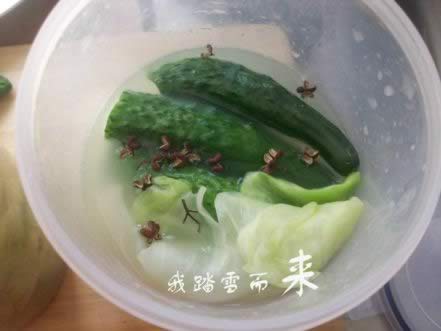 ��ʽ����˺���ƹϵ�����